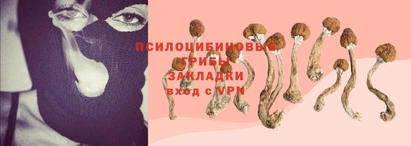 кристаллы Горнозаводск