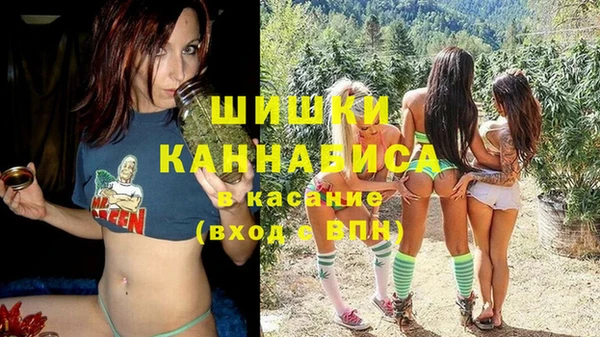 стафф Горно-Алтайск