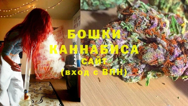 стафф Горно-Алтайск