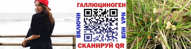 Галлюциногенные грибы ЛСД  Купить где  Никольск 