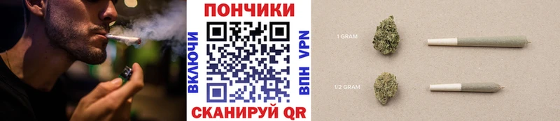 Купить Никольск Шишки марихуана ГИДРОПОН